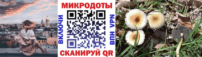 Купить  Невель  Галлюциногенные грибы MAGIC MUSHROOMS 